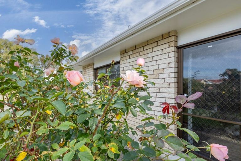 Photo of property in 6 Mckenzie Place, Dargaville, 0310