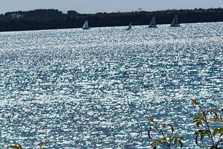 Photo of property in 115 Matua Road, Matua, Tauranga, 3110