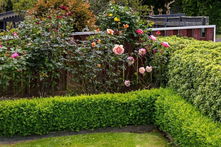 Photo of property in 35 Manuka Street, Lansdowne, Masterton, 5810