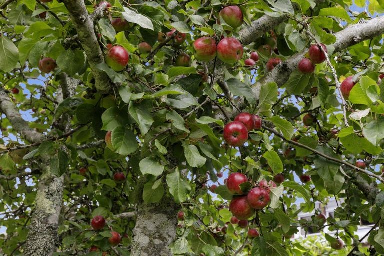 Photo of property in 84 Crowther Road, Wainuiomata, 5373