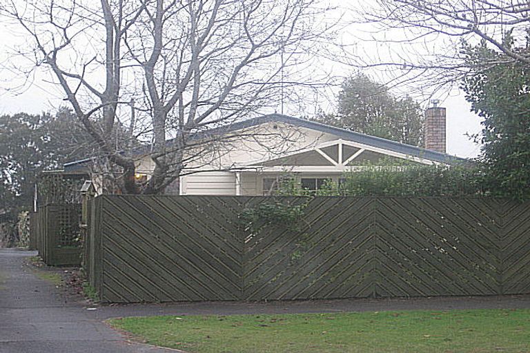 Photo of property in 20 Donny Avenue, Chartwell, Hamilton, 3210