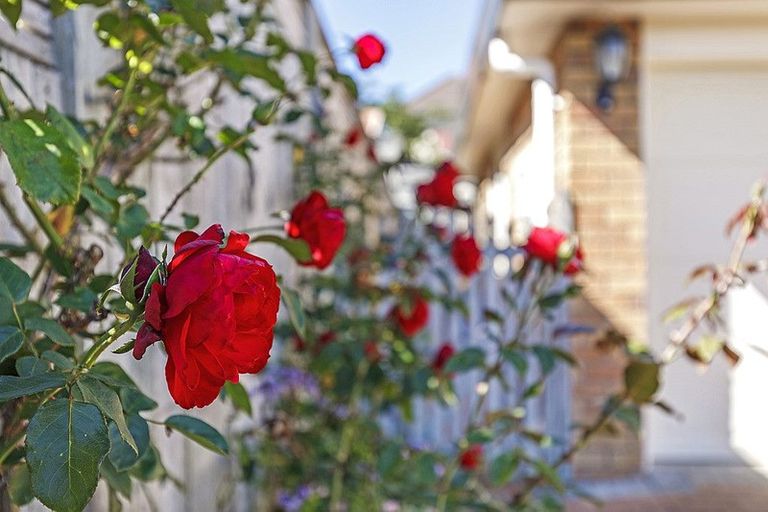 Photo of property in 11 Angel Way, Stanmore Bay, Whangaparaoa, 0932