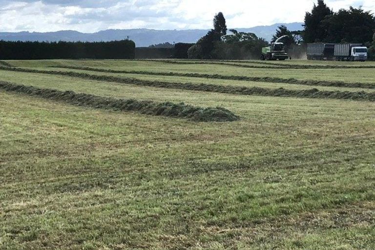 Photo of property in 51a Tahuna Road, Te Teko, 3192