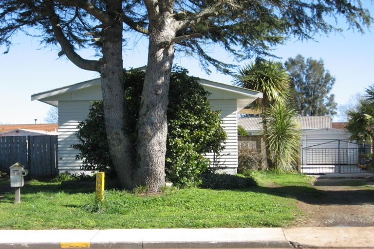 Photo of property in 39 Eastburn Street, Papakura, 2110