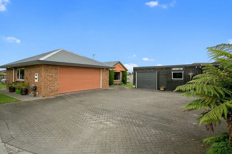 Photo of property in 8 Sharp Place, Matamata, 3400
