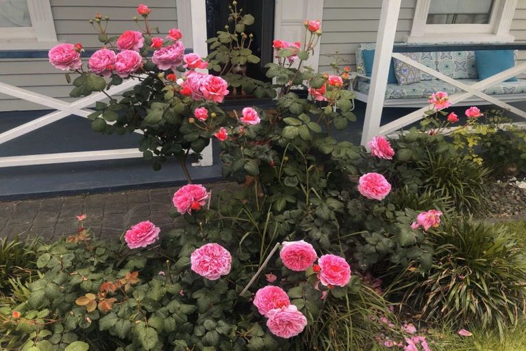 Photo of property in 1/66 Verran Road, Birkdale, Auckland, 0626