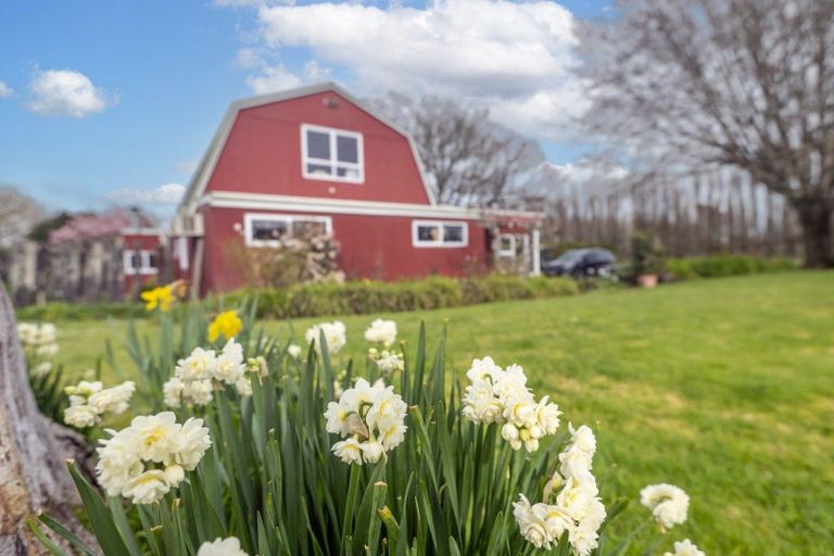 Photo of property in 237 Thornton Road, Thornton, Whakatane, 3194