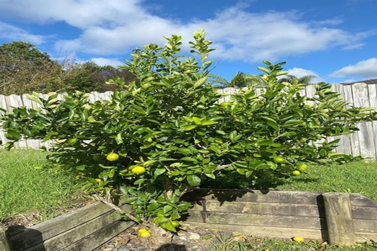 Photo of property in 12 Neaptide Close, Red Beach, 0932