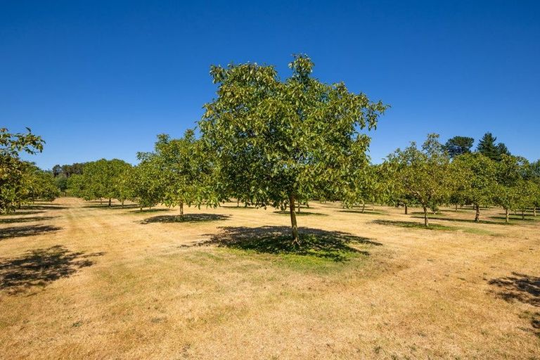 Photo of property in 60 Golden Hills Road, Appleby, Richmond, 7081