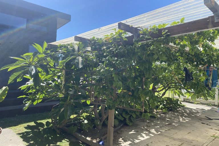 Photo of property in 17 Rogers Road, Bay View, Napier, 4104