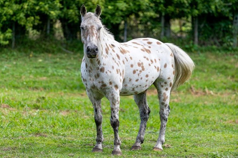 Photo of property in 55a Oliver Road, Minden, Tauranga, 3171