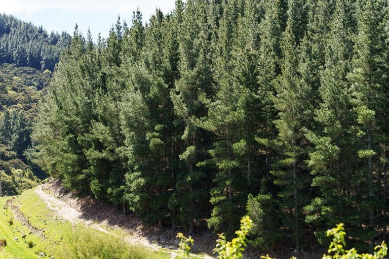 Photo of property in 292 Waipori Falls Road, Berwick, Outram, 9073