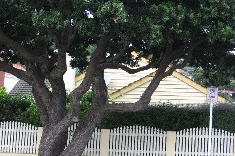 Photo of property in 46 Para Street, Miramar, Wellington, 6022