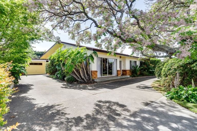 Photo of property in 37 Balliol Avenue, Pirimai, Napier, 4112