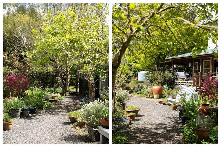 Photo of property in 42a Junction Road, Paeroa, 3600