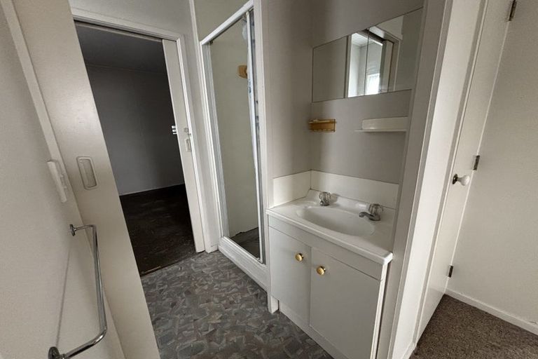 Photo of property in 9b-c Douglas Street, Levin, 5510