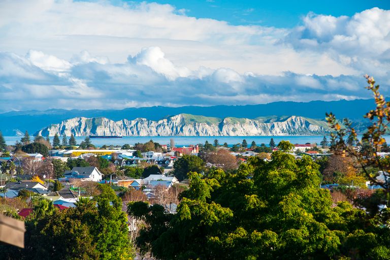 Photo of property in 191 Russell Street, Whataupoko, Gisborne, 4010