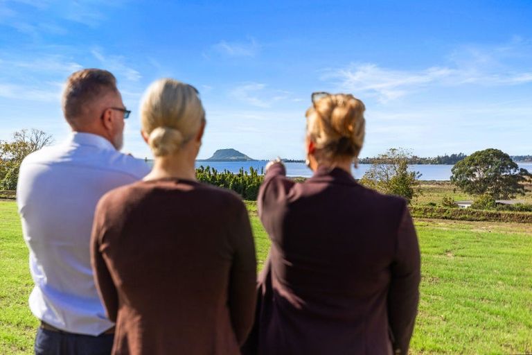 Photo of property in 137 Lochhead Road, Te Puna, Tauranga, 3176