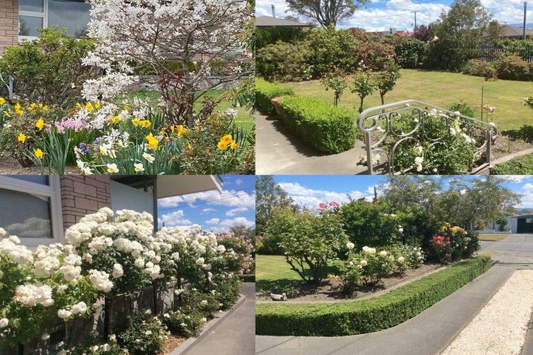 Photo of property in 41 Broadway Avenue, Highfield, Timaru, 7910