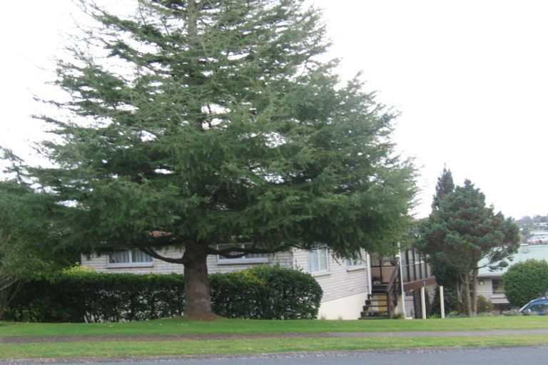 Photo of property in 78 Poaka Avenue, Dinsdale, Hamilton, 3204