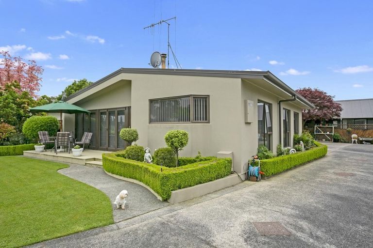 Photo of property in 13 Thornton Street, Putaruru, 3411