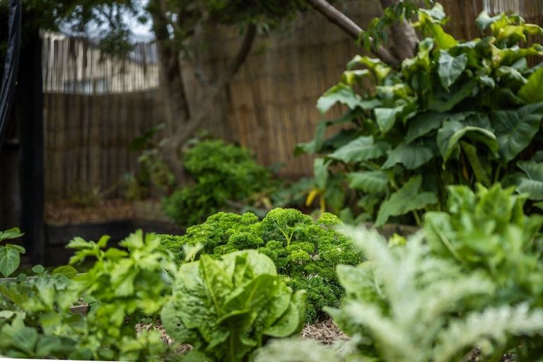 Photo of property in 56 Jellicoe Street, Whanganui East, Whanganui, 4500