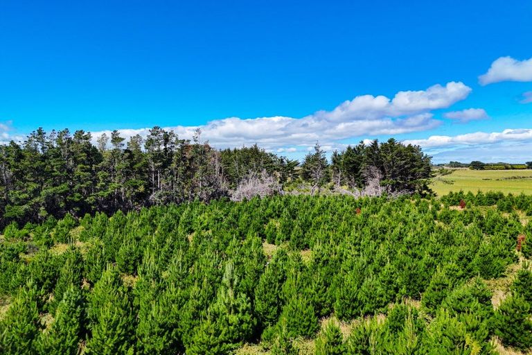 Photo of property in 80 Bay View Road, Woodend, Invercargill, 9877