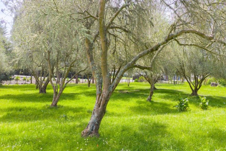 Photo of property in 5 Petersen Place, Waipukurau, 4200