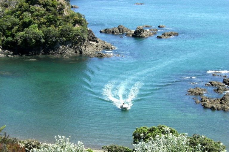 Photo of property in 1/8329 State Highway 35, Whanarua Bay, Te Kaha, 3199