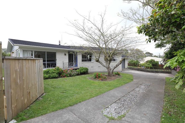 Photo of property in 113 Centennial Avenue, Te Aroha, 3320