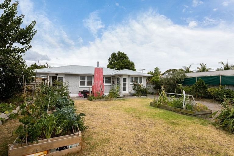Photo of property in 553 Maunganui Road, Mount Maunganui, 3116