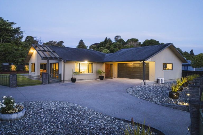 Photo of property in 41 Roto Street, Hurdon, New Plymouth, 4310