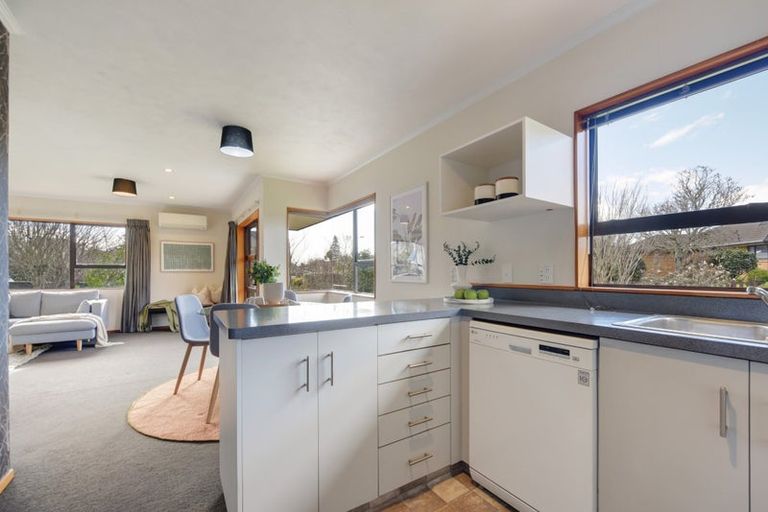 Photo of property in 3 Ledger Close, Richmond, 7020