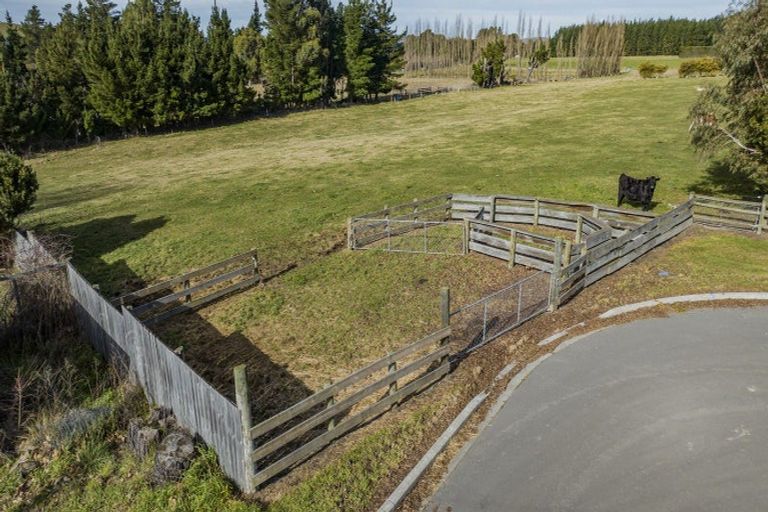 Photo of property in 17 Tenterden Street, Hawarden, 7385