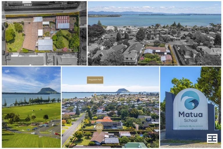 Photo of property in 68 Kings Avenue, Matua, Tauranga, 3110