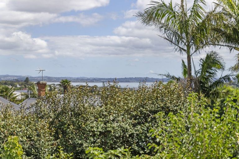 Photo of property in 3 Chamberlain Street, Grey Lynn, Auckland, 1021