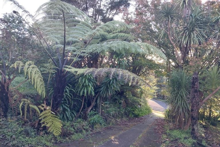 Photo of property in 84 Shetland Street, Glen Eden, Auckland, 0602