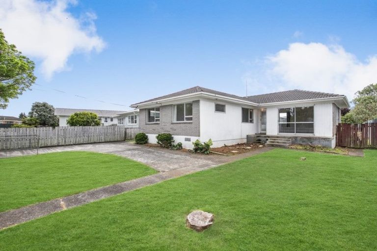 Photo of property in 21 Holland Street, Pukekohe, 2120