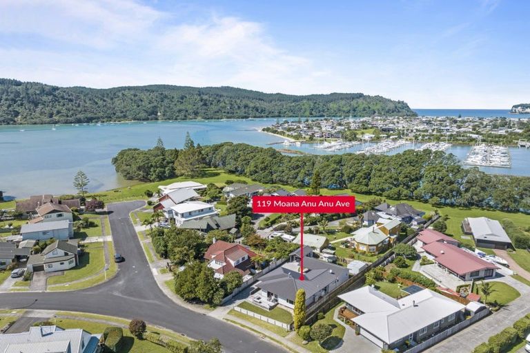 Photo of property in 119 Moana Anu Anu Avenue, Whangamata, 3620