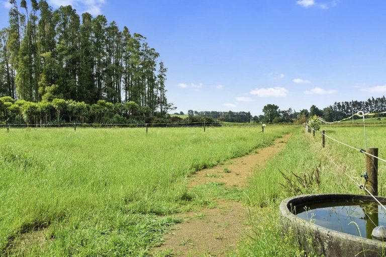 Photo of property in 21 Barrett Road, Temple View, Hamilton, 3290