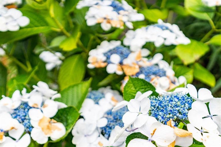 Photo of property in 35 Olsen Avenue, Mangawhai Heads, Mangawhai, 0505