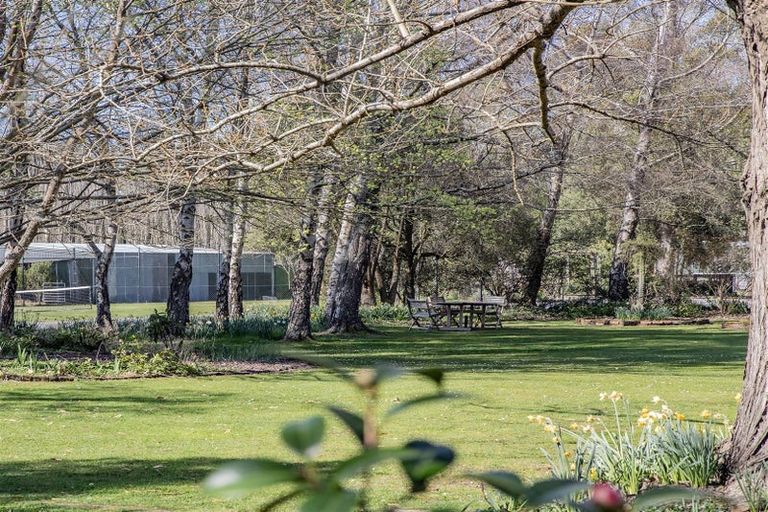 Photo of property in 230 Whites Road, Ohoka, Kaiapoi, 7692