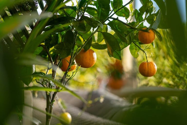 Photo of property in 18 Takahe Drive, Paraparaumu Beach, Paraparaumu, 5032