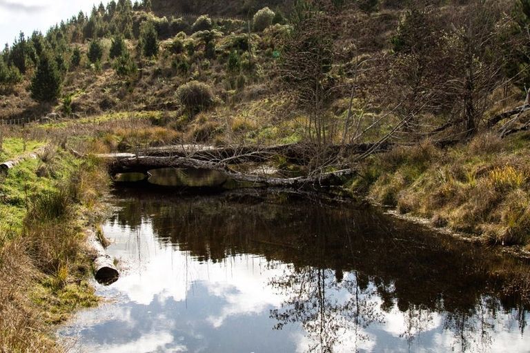 Photo of property in 81d Middle Road, Tohunga Junction, Raetihi, 4696