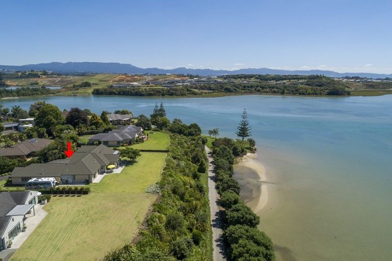 Photo of property in 329n Plummers Point Road, Whakamarama, Tauranga, 3172