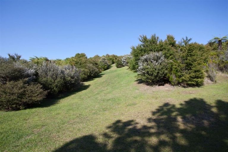 Photo of property in 160 Pumpkin Hill Road, Pumpkin Hill, Whitianga, 3591