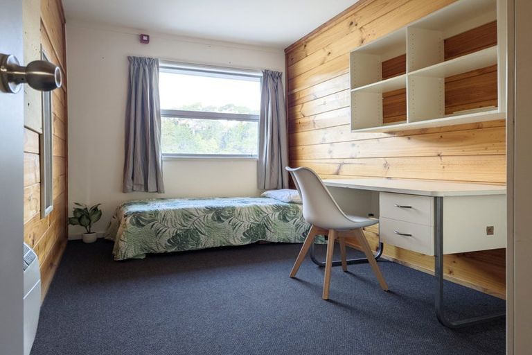 Photo of property in Drummond Street Flats, 15/19 Drummond Street, Mount Cook, Wellington, 6021