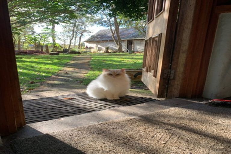 Photo of property in 185a Brook Road, Awhitu, Waiuku, 2684