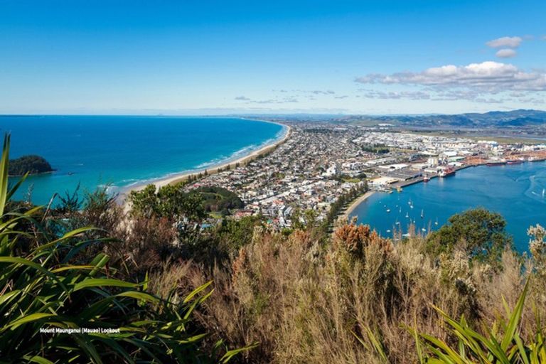 Photo of property in 2/3 Wells Avenue, Mount Maunganui, 3116