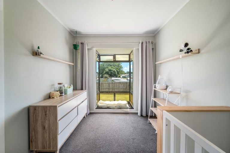 Photo of property in 17 Lethborg Street, Dinsdale, Hamilton, 3204